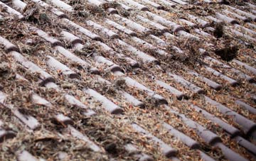 Haydon Wick roof cleaning companies